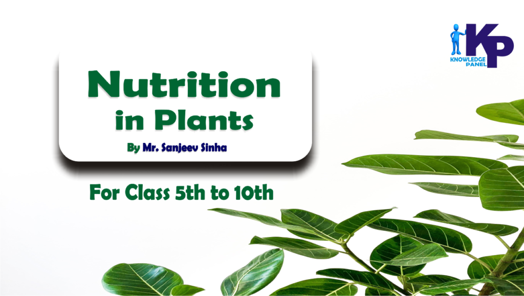Nutrition in plants for class 5 ,6,7,8,9